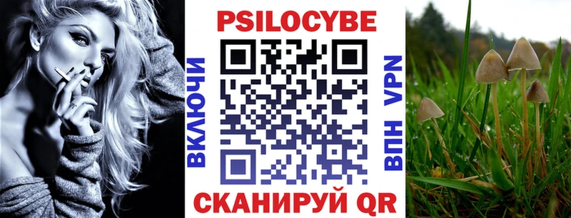 mega ONION Нижний Ломов Псилоцибиновые грибы Psilocybe